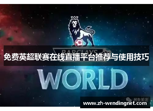 免费英超联赛在线直播平台推荐与使用技巧